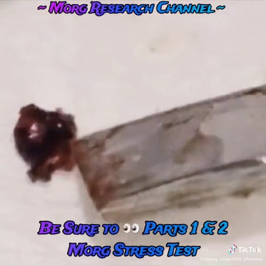 **PART THREE of 3** Most have never heard of Morgs & those who have, don't understand what they are. Morgs are unclassified, microscopic, multicellular, hive-minded biological animals possessing incredible abilities of Morphing shape, color, size, Texture instantaneously. 🎶 by the man--> @itsbrycesavage @neffex He's about to do a US tour! JS 🥰 #alienlifeform #morgshorts #morgs #realresearch #stoplying