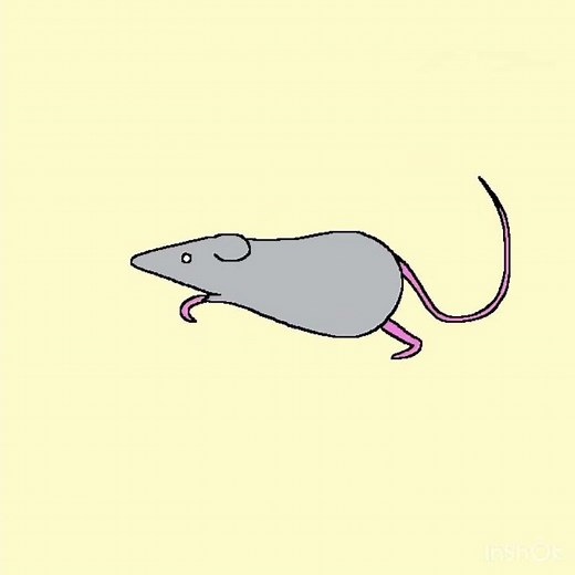 Rat Run Cycle Animation