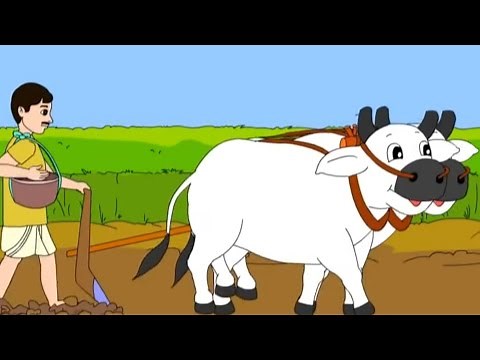 Class 4 EVS Chapter - 14 "Basva's Farm" cbse ncert english medium Environmental Looking Around