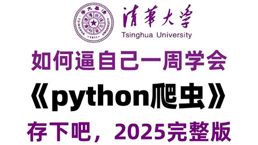 【25年新版】0基础19天系统入门Python，绝对B站最系统Python入门自学教程，小白友好，配套课件教程