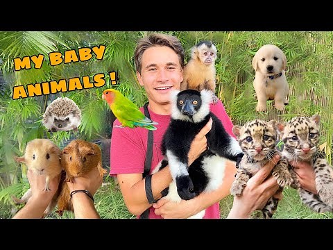 MEET ALL MY BABY ANIMALS ! FULL TOUR !