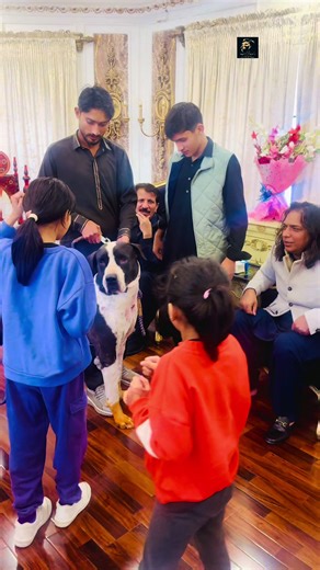 Fun with Falcon: Explore Falcon House Dip