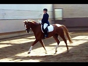 Großes Reitabzeichen (Klasse III): Dressurprüfung (WN: 8,0)