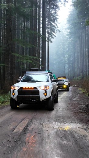 Roaming the Pacific Northwest #offroad #4runner #overlanding