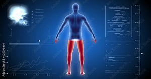3D human body scan, body scanner, medical screen, tomography, medical tests, X-ray Stock Video
