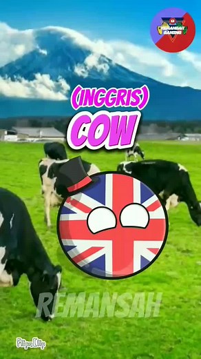 Sapi dalam berbagai bahasa sound by:Brother Hafizi bahasa#sapi#absurd#fyp#animation#humor#countryball#countryballs#shortsvideo#countryballanimation#viralvideos#fypシ#meme