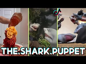 The.Shark.Puppet Tiktok Funny Videos - Best of ‪@SharkPuppet‬ TikToks 2024
