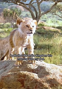 Simba and Nala in love with each other. The future king and queen #safari #animal #wildlifephotography #tiger #love #instagood #wild #cat #lioness #Leo #simba | SM Global Prince Film Production