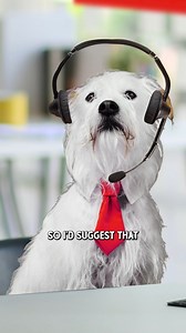 94K views · 808 reactions | Need help overcoming the post-winter blahs? ‍ Pet Help Desk to the rescue! ‍ Find out how Stella & Chewy's can help get your cat out of a seasonal funk! #StellaAndChewys #PetHelpDesk #Cats | Stella & Chewy's | Facebook