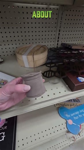 Are We Even Surprised? Another Wild Goodwill Find! 😮