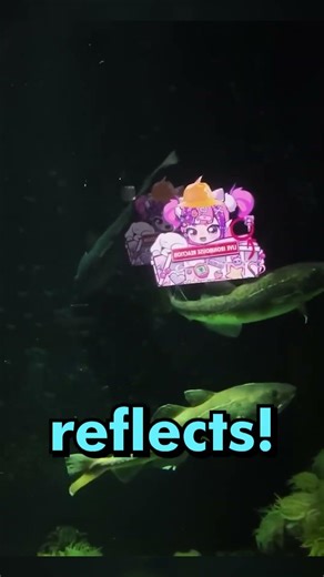 Mouse Literally In The Aquarium