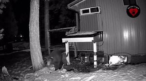 3.1K reactions · 302 shares | If you’ve been following along on the...