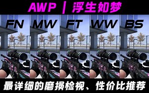 【CSGO】涂鸦风！！ 【AWP | 浮生如梦】，高画质全磨损展示