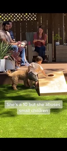 Chill katsu #goldendoodle #puppy #shesa10but