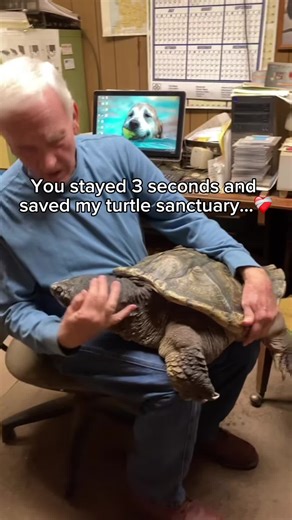 myturtleslippers on TikTok