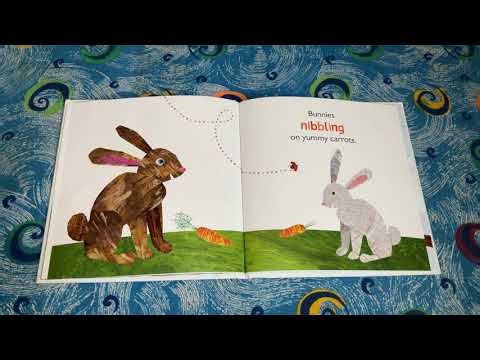 Spring Sings For The Grouchy Ladybug