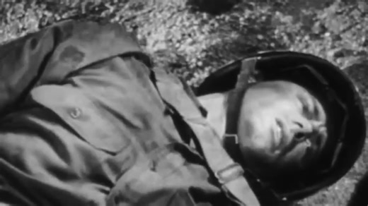 The photo from Peleliu that revealed the true horror of the Pacific War