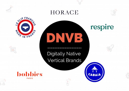 DNVB : Définition, Caractéristiques et Exemples (MàJ 2023)