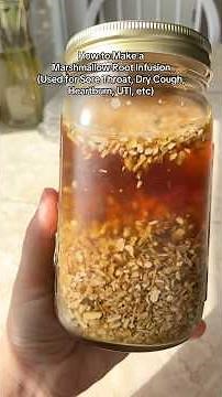 How to Make a Marshmallow (Althaea officinalis) Root Infusion #naturalremedy #herbalremedies