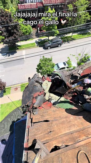 #roofing #construction @Roofer’s Elite 🇲🇽🔨 @✈️🦅 𝕋𝕒𝕧𝕚𝕥𝕠_𝕄𝕥𝕫 @⚡️🍓🦂🩷RAYITO RF🪷🐥❤️‍🔥✈️🐉