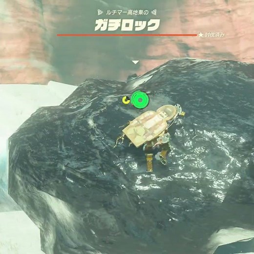 【ティアキン】ルチマー高地東のガチロック ゼルダの伝説ティアーズ オブザキングダムオルパー台地のガチロック #ティアキン #shorts