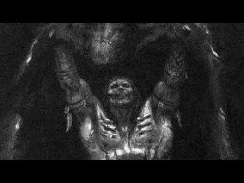 ARISTOCRATIC FRAME. 🧬