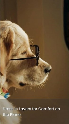 3 Easy Plane Hacks Every First Time Flyer Needs! || Air Travel Hacks