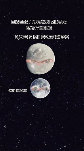 Exploring the Biggest Things in the Universe