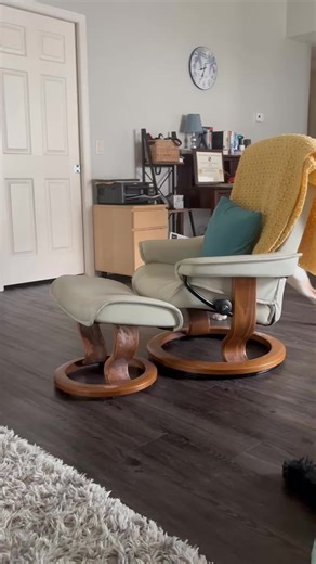 Invisible Boundary Training with a 5-Month-Old Yellow Lab