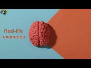 Neuroplasticity and its impact on learning