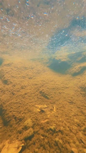 underwater cinematic effects wait for the result 😱