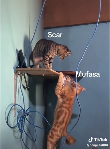 Mufasa Vs Scar Cliff Scene: Epic Lion King Showdown
