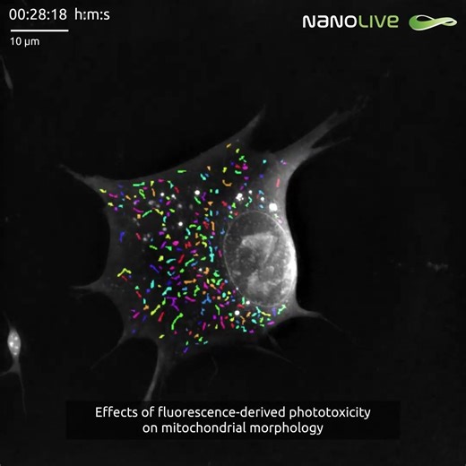 𝗨𝗻𝗹𝗼𝗰𝗸𝗶𝗻𝗴 𝗺𝗶𝘁𝗼𝗰𝗵𝗼𝗻𝗱𝗿𝗶𝗮𝗹 𝗵𝗲𝗮𝗹𝘁𝗵 𝗮𝘀 𝗮 𝗱𝗿𝘂𝗴 𝗱𝗶𝘀𝗰𝗼𝘃𝗲𝗿𝘆 𝗿𝗲𝗮𝗱𝗼𝘂𝘁