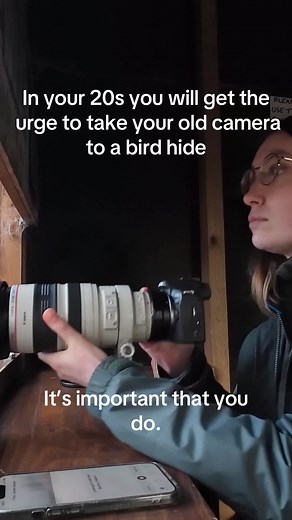 Exploring Birdwatching with the Canon R10