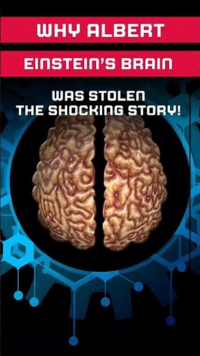 Why Albert Einstein’s Brain Was Stolen – The Shocking Story! | Facts Utopia