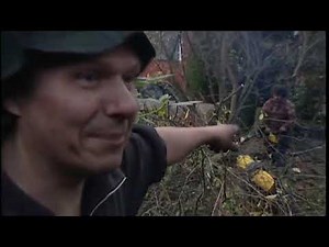 Die Ludolfs: Staffel 1 (Ordnung muss sein)