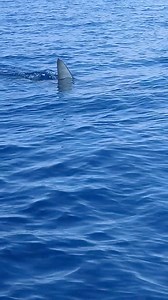 973K views · 7.7K reactions | Wow Today In Sicily  beetween Ognina...