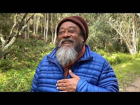 A Morning with Moojibaba in the Forest
