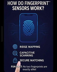 How do fingerprint Sensors wo