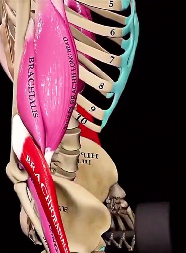 Amazing AI & VFX Shorts | Smart Tech & Entertainment Videos