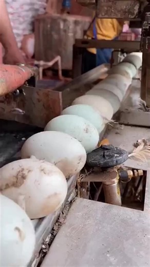 Amazing and Relaxing Factory Works ASMR