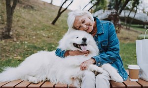 Why Are Dogs So Loyal? Are They The Most Loyal Pet?