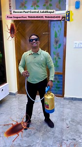 Best pest control services and free inspection by Deccan Pest Control, Lakdikapul, Hyd! | telugu_tea_talks
