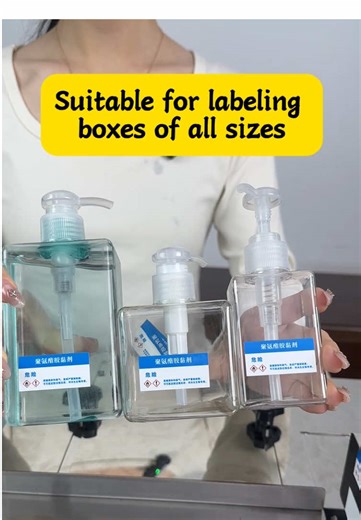 Efficient Labeling Solutions for All Box Sizes