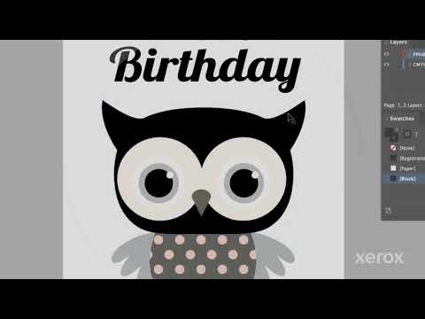 Xerox Genesis Initiative: Designing for Fluorescent Pink Spots