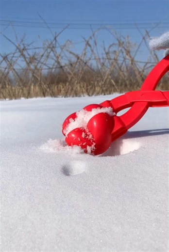 A Small Token of Appreciation This Winter