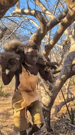 अफ्रीकी आदिवासी जो जानवरों को डराने में माहिर हैं! #facts #youtubeshorts #youtubefeed #animals #gk
