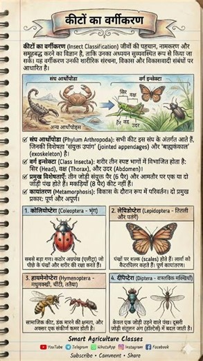 कीटों का वर्गीकरण | Classification of Insects | Entomology B.Sc Agriculture”