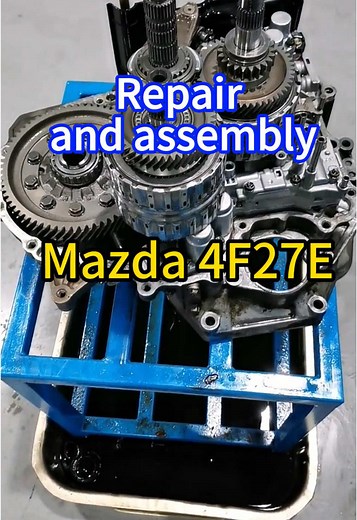 Transmission on TikTok