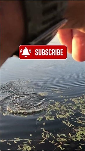 Bass fishing, ripping lip #outdoorlife #fishing #bass #bassfishing #pondfishing